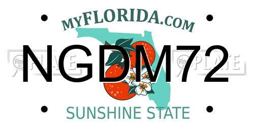 NGDM72 Florida License Plate
