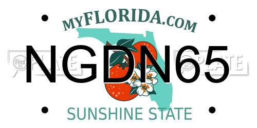 NGDN65 Florida License Plate