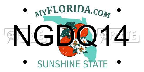 NGDQ14 Florida License Plate