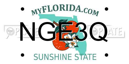 NGE3Q Florida License Plate