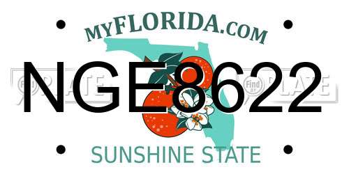 NGE8622 Florida License Plate