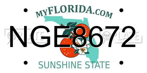 NGE8672 Florida License Plate