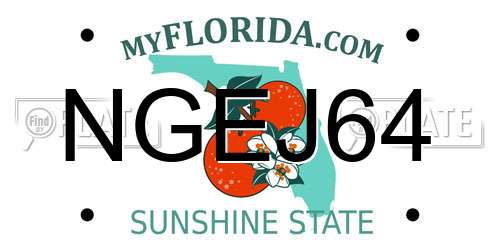 NGEJ64 Florida License Plate