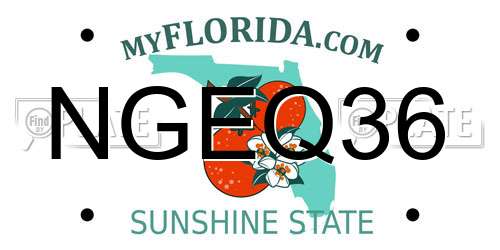 NGEQ36 Florida License Plate