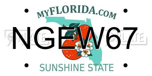 NGEW67 Florida License Plate