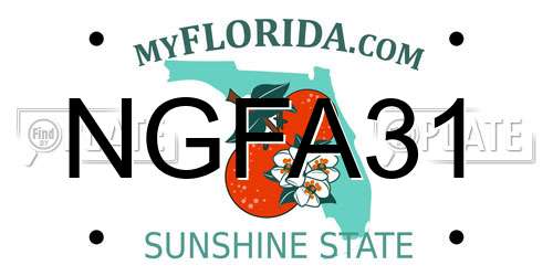 NGFA31 Florida License Plate