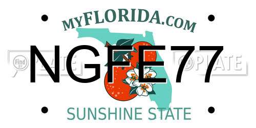 NGFE77 Florida License Plate