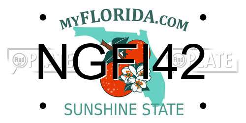 NGFI42 Florida License Plate