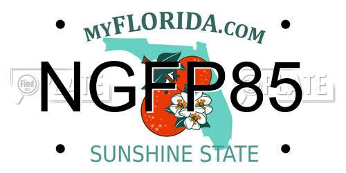 NGFP85 Florida License Plate