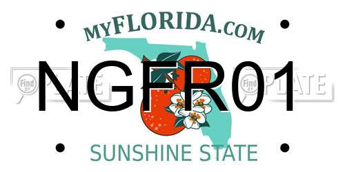 NGFR01 Florida License Plate