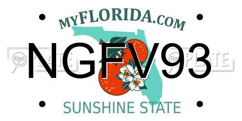 NGFV93 Florida License Plate