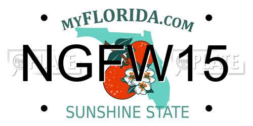 NGFW15 Florida License Plate