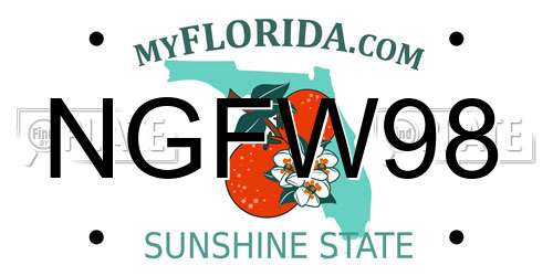 NGFW98 Florida License Plate