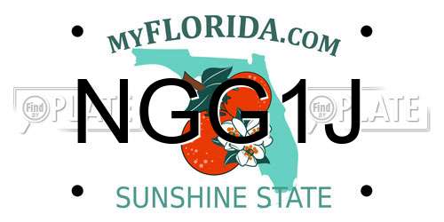 NGG1J Florida License Plate