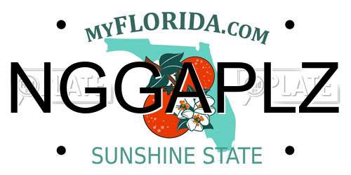 NGGAPLZ Florida License Plate
