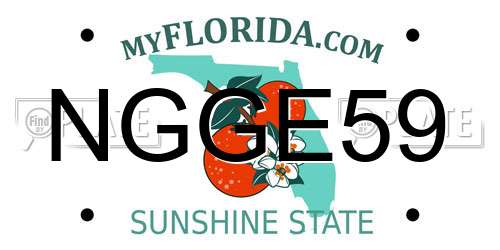 NGGE59 Florida License Plate