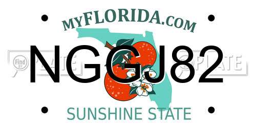 NGGJ82 Florida License Plate