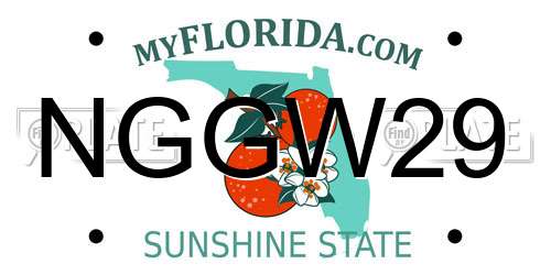 NGGW29 Florida License Plate