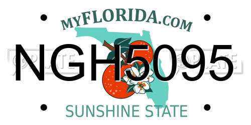 NGH5095 Florida License Plate