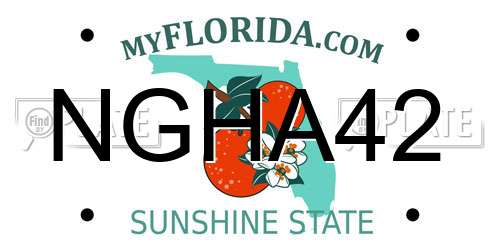 NGHA42 Florida License Plate