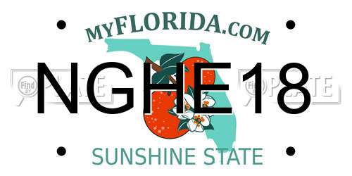 NGHE18 Florida License Plate