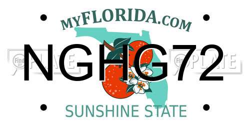 NGHG72 Florida License Plate