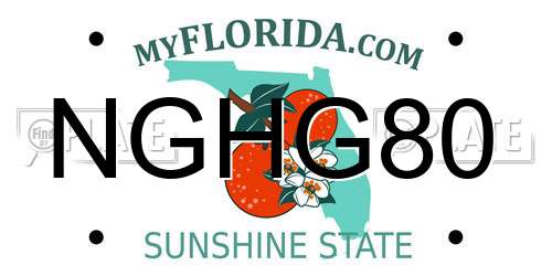 NGHG80 Florida License Plate