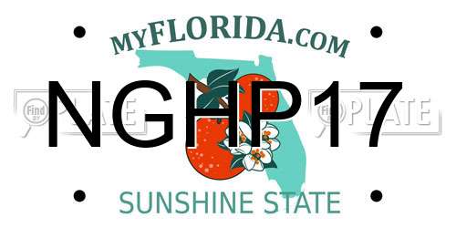 NGHP17 Florida License Plate