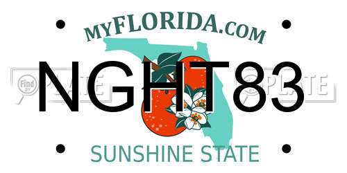 NGHT83 Florida License Plate