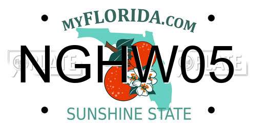 NGHW05 Florida License Plate