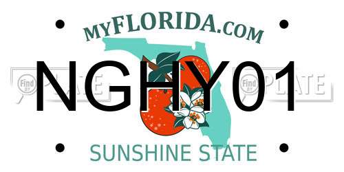 NGHY01 Florida License Plate