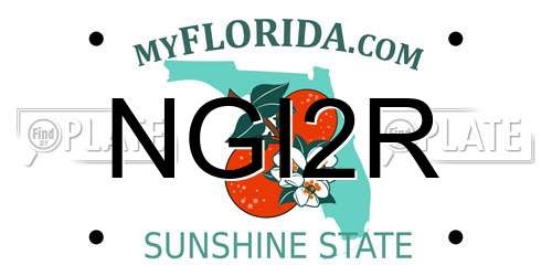 NGI2R Florida License Plate