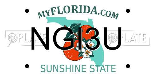 NGI3U Florida License Plate