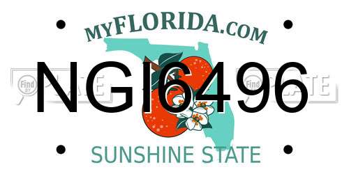 NGI6496 Florida License Plate