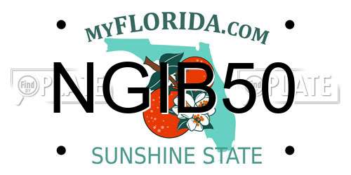 NGIB50 Florida License Plate