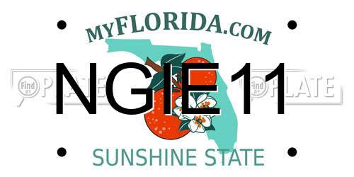 NGIE11 Florida License Plate