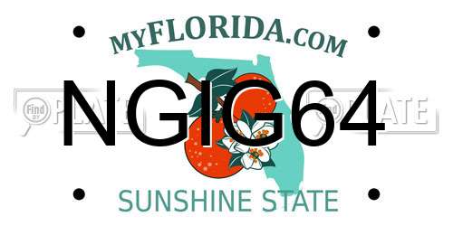 NGIG64 Florida License Plate