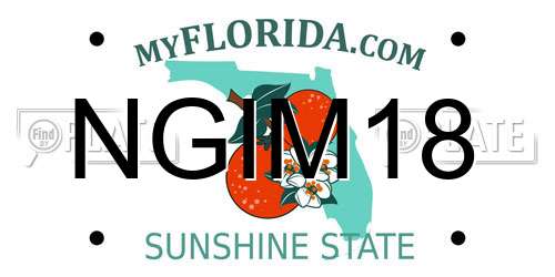 NGIM18 Florida License Plate