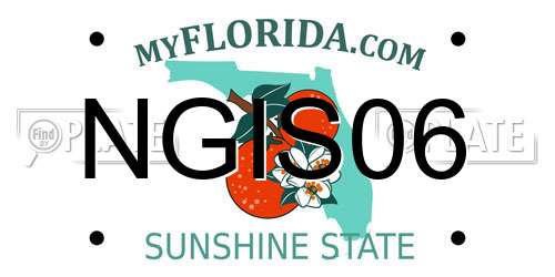 NGIS06 Florida License Plate