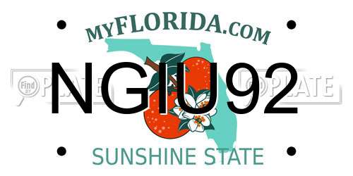 NGIU92 Florida License Plate