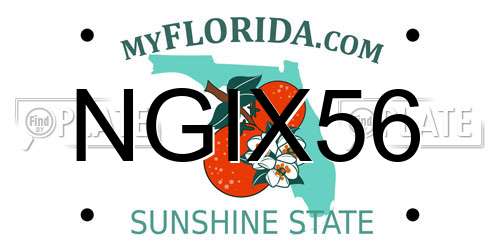 NGIX56 Florida License Plate