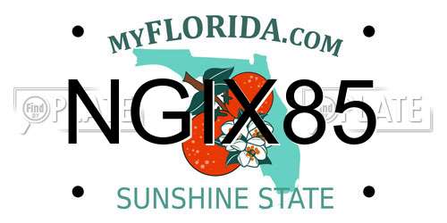 NGIX85 Florida License Plate