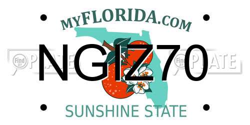 NGIZ70 Florida License Plate