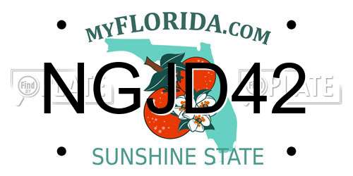 NGJD42 Florida License Plate