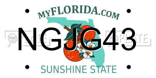 NGJG43 Florida License Plate