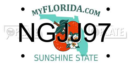 NGJJ97 Florida License Plate
