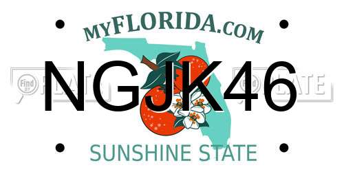 NGJK46 Florida License Plate