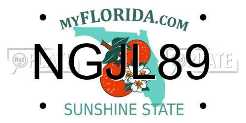NGJL89 Florida License Plate