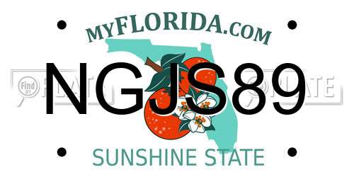 NGJS89 Florida License Plate