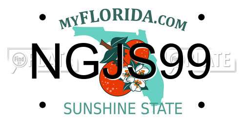 NGJS99 Florida License Plate